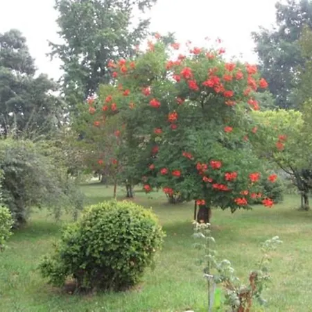 D'hôtes Le Chardon Fleuri Maison d'hôtes