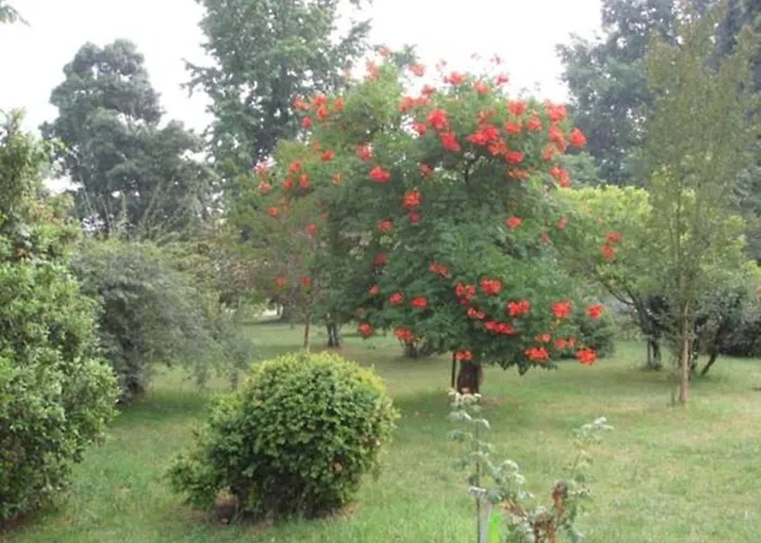 D'hotes Le Chardon Fleuri Pensionat